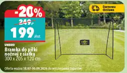 Biedronka Bramka do piłki nożnej z siatką oferta