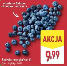 ALDI Borówka amerykańska XL oferta