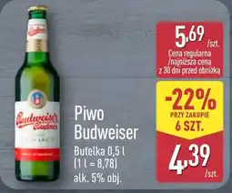 ALDI Piwo Budweiser oferta