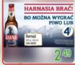 Livio Piwo Harnaś oferta
