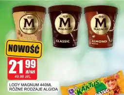 Bingo Lody Magnum oferta