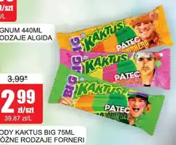 Bingo Napoje Kaktus Big oferta