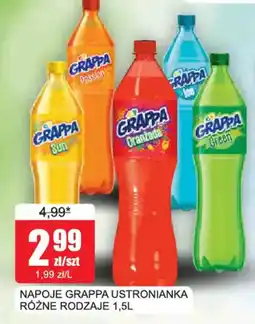 Bingo Napoje Grappa Ustronianka oferta