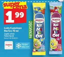 Topaz Lody Kameleon Hortex oferta