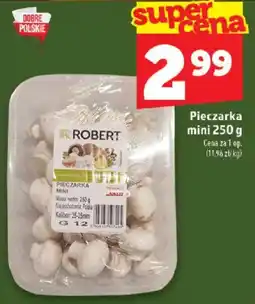Topaz Pieczarka mini Robert oferta
