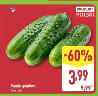 ALDI Ogórki gruntowe polskie oferta