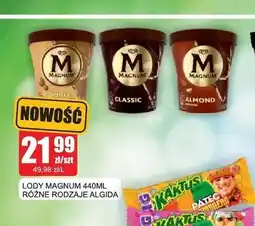 Bingo Lody Magnum Algida oferta