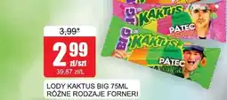Bingo Lody Kaktus Big Froneri oferta