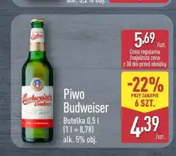 ALDI Piwo Budweiser Budvar oferta