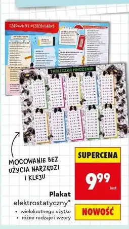 Biedronka Plakat elektrostatyczny oferta