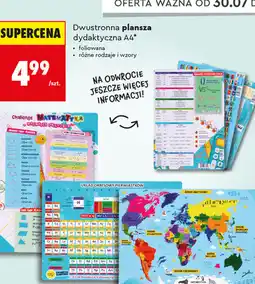 Biedronka Dwustronna plansza dydaktyczna A4 Henry oferta