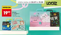 Biedronka Kuferek lub teczka A4 z rączką Loozz oferta