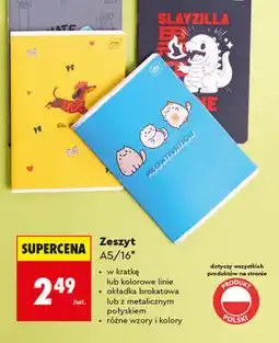 Biedronka Zeszyt A5/16* Interdruk oferta