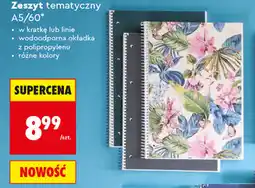 Biedronka Kołozeszyt Interdruk (A4/50, B5/100, B5/120 lub A4/160) oferta