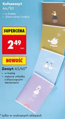Biedronka Zeszyt A5/60* lub Kołozeszyt A4/100 Interdruk oferta