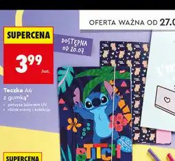 Biedronka Teczka A4 z gumką St.Majewski oferta