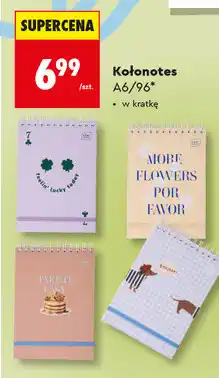 Biedronka Kołonotes Interdruk A6/96 oferta