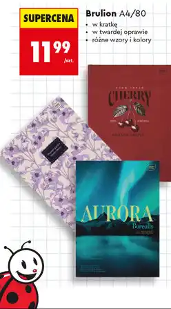 Biedronka Brulion Interdruk A4/80 oferta