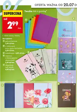 Biedronka Teczka A4 z gumką Interdruk oferta