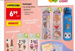 Biedronka Naklejki na smartfon i bidon Happy Color oferta