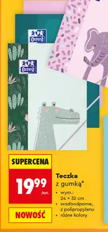 Biedronka Teczka z gumką Oxford wodoodporna oferta