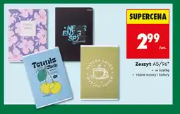 Biedronka Zeszyt Top 2000 A5/96 oferta