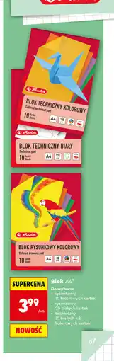 Biedronka Blok A4 Herlitz oferta