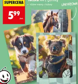 Biedronka Herlitz Teczka A4 z gumką lakierowana oferta