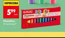 Biedronka Herlitz Plastelina 12 kolorów oferta