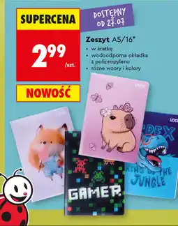 Biedronka Zeszyt Loozz A5/16 oferta