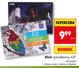 Biedronka Blok rysunkowy A3 Loozz oferta
