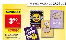 Biedronka Zeszyt St. Majewski A5/60 kartek oferta