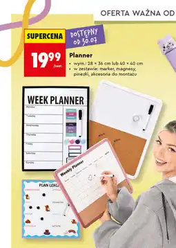 Biedronka Planner Kayet oferta