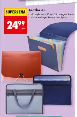 Biedronka Kayet Teczka A4 z przegródkami oferta