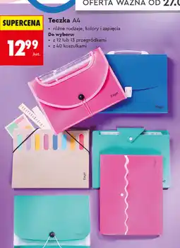 Biedronka Kayet Teczka A4 oferta