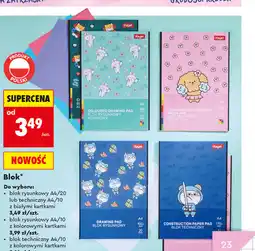 Biedronka Blok rysunkowy / techniczny Kayet oferta