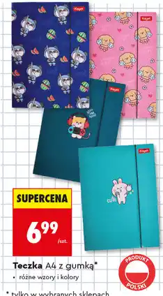 Biedronka Teczka A4 z gumką Kayet oferta