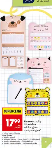 Biedronka Planner szkolny lub tablica edukacyjno-motywacyjna Interdruk Bebe oferta