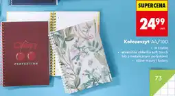 Biedronka Kołozeszyt A4/100 oferta