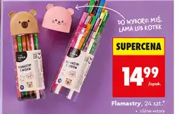 Biedronka Flamastry oferta