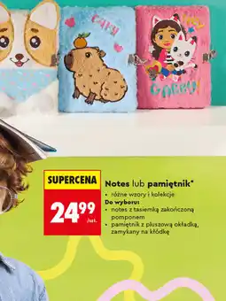 Biedronka Notes lub pamiętnik oferta