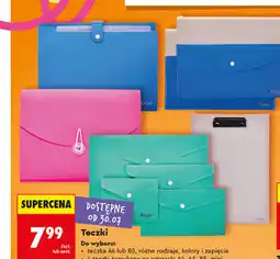 Biedronka Teczki Kayet (A4, B5, A5, mini) oferta