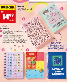 Biedronka Notes A5/80 kartek Kayet oferta