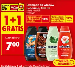 Biedronka Szampon do włosów Schauma oferta