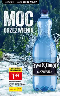 Biedronka Żywiec Zdrój Mocny Gaz oferta