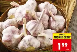 Biedronka Czosnek oferta