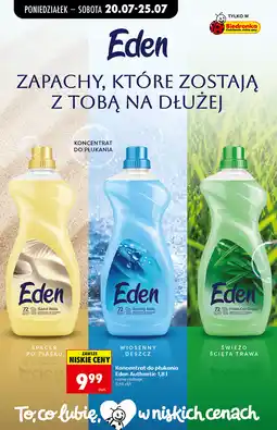 Biedronka Eden koncentrat do płukania oferta