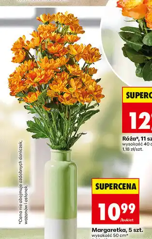 Biedronka Margaretka, 5 szt oferta