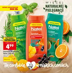 Biedronka Szampon do włosów Natei, różne rodzaje oferta