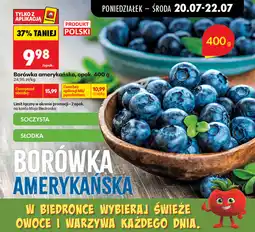 Biedronka Borówka amerykańska, opak oferta